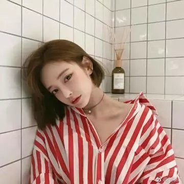欢迎来到丛林