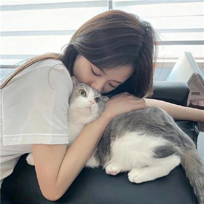 战国妖姬