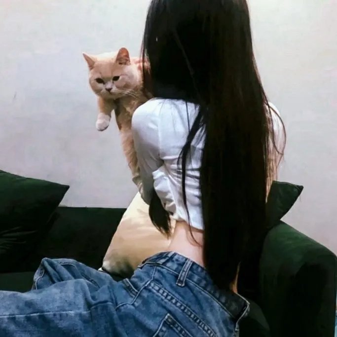旧爱新欢一家亲